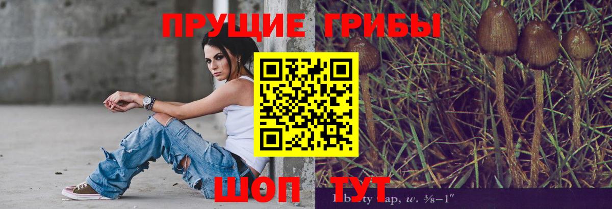 Псилоцибиновые грибы Psilocybine cubensis  Вход с VPN  где найти наркотики  Прокопьевск 